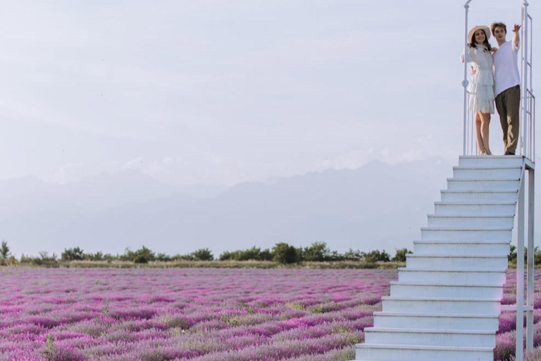 Gabala Lavender Fields Tour