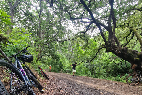 Oaxaca: Tour en bicicleta con visita al Árbol de los Monos y a una panadería artesanal
