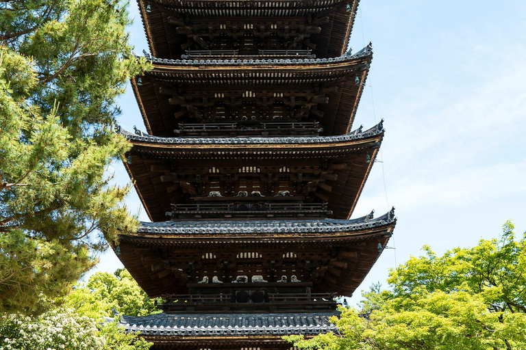 Kyoto & Nara Customized Private English Guided Tour