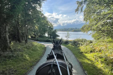 Killarney Carriage Tours Parc national et lacs