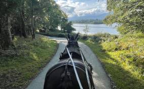 Killarney Carriage Tours National Park and Lakes