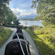 Killarney: National Park and Lakes Carriage Tour Killarney: National Park and Lakes Carriage Tour