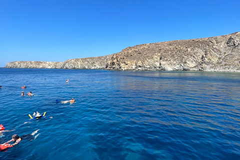 Mykonos: Cruzeiro em Delos e Rhenia com banho de mar e refeição gregaMykonos: Delos e Rhenia Cruise com mergulho e refeição grega