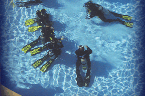 padi open water