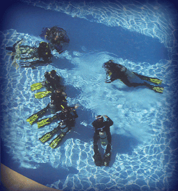 padi open water course