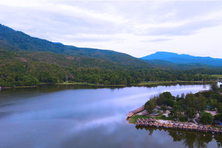 Chiang Mai: 20km Downhill Mountain Biking Challenge Suthep M