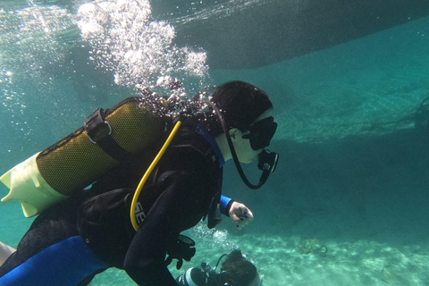 Paphos: Entdecken Sie das Tauchen mit Abholung