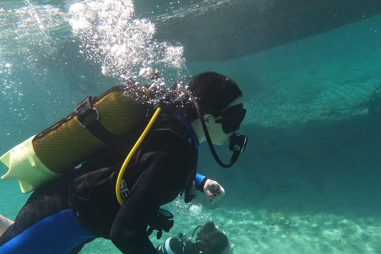 Paphos: Entdecken Sie das Tauchen mit Abholung