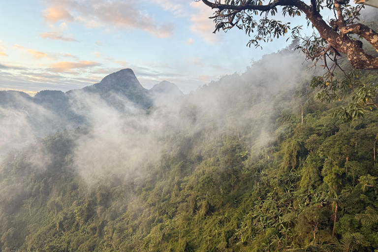 Tam Dao Private Day Tour With Misty Mountains, Cloud Views