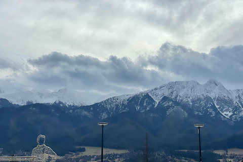 Krakow: Zakopane Buggy, Quad or Snowmobile Tour & Treetop Tour + Buggy for 2 people