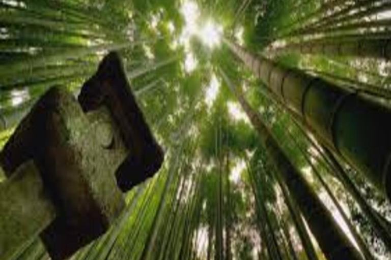 Tokyo: 2-Day Guided Tour with Kamakura & Hotel Pickup