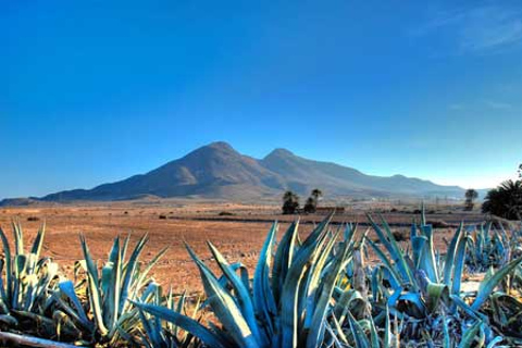 Parc naturel de Cabo de Gata-Níjar : journée d’excursionJournée à Cabo de Gata depuis Retamar/El Toyo