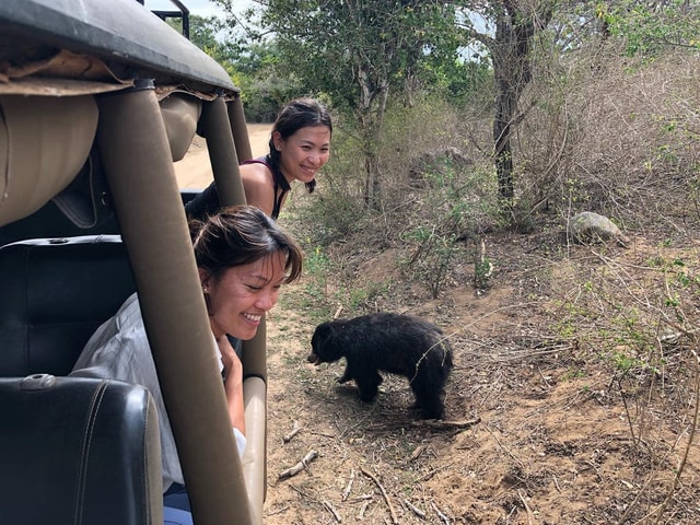 Vanuit Ella: Yala Safari Tour met overstap in Tangalle/Hiriketiya