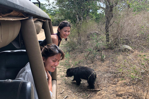 From Anuradhapura: Jungle Tour in Wilpattu From Anuradhapura: Full Day Safari Tour in Wilpattu