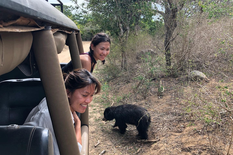 From Anuradhapura: Jungle Tour in Wilpattu From Anuradhapura: Full Day Safari Tour in Wilpattu