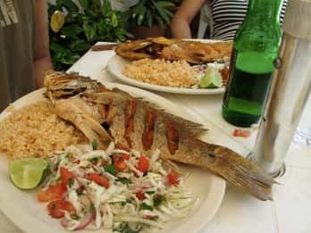 Tour gastronomico di Cozumel