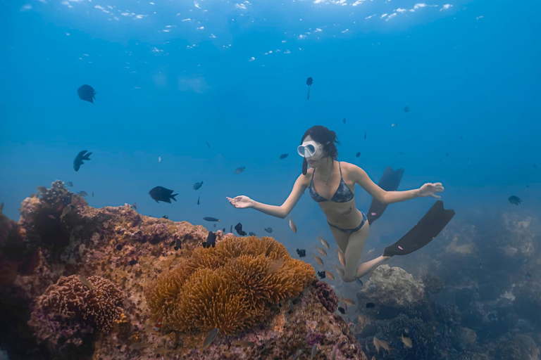 Boracay Discovery Free Diving Experience