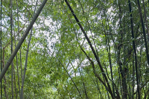 Tam Dao Private Day Tour With Misty Mountains, Cloud Views