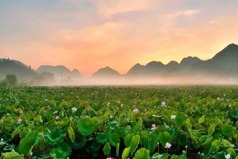 Hanoi: Ninh Binh Jeep Tour to Bich Dong, Trang An, Mua Cave