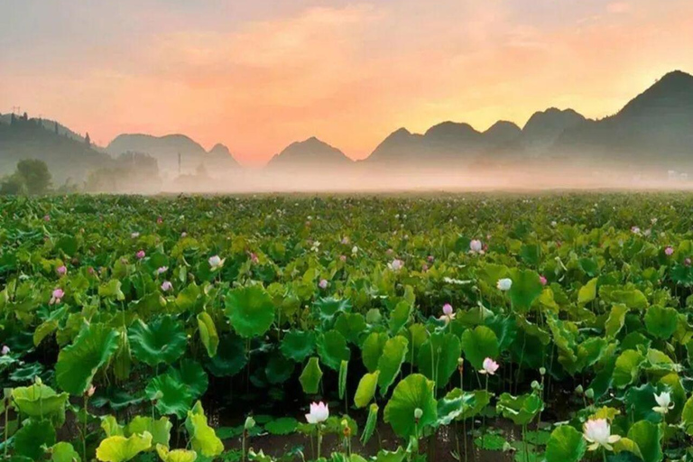 Hanoi: Ninh Binh Jeep Tour to Bich Dong, Trang An, Mua Cave