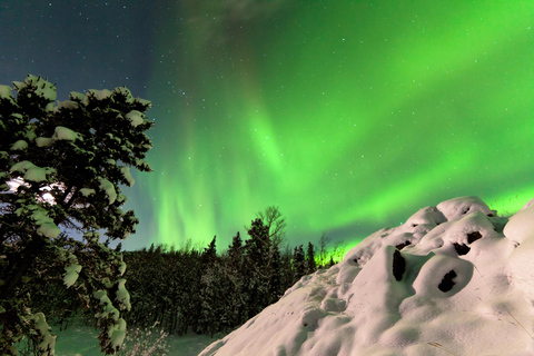 Rovaniemi: Wunderbares Abenteuer auf der Suche nach der Aurora