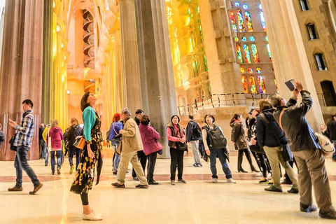 Sagrada Familia Guided Tour with Official Guide Regular Tour