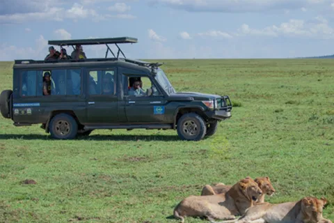 BIG FIVE LUXURY SAFARI