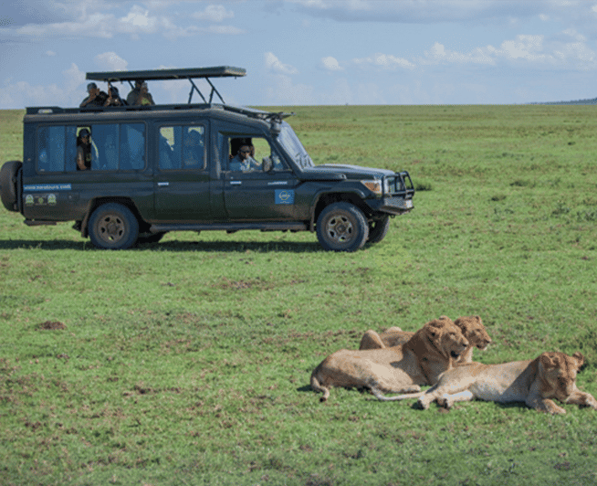 BIG FIVE LUXURY SAFARI