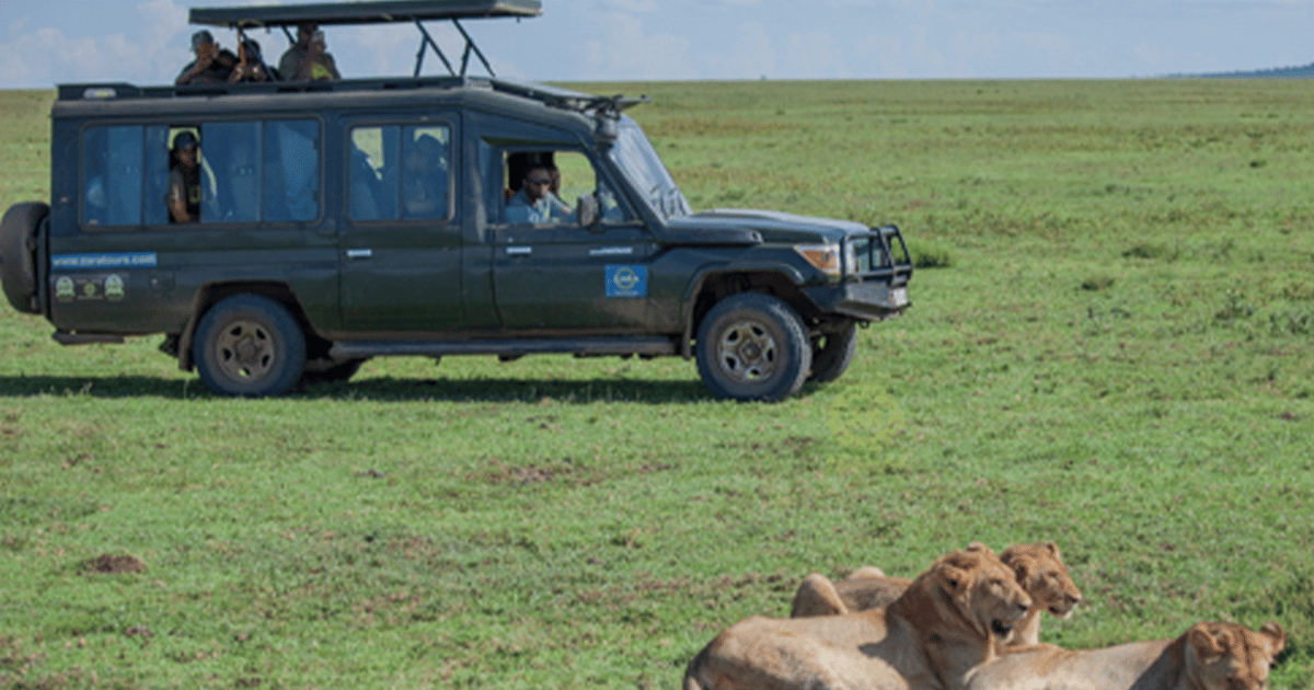 ビッグ 5 ラグジュアリー サファリ GetYourGuide