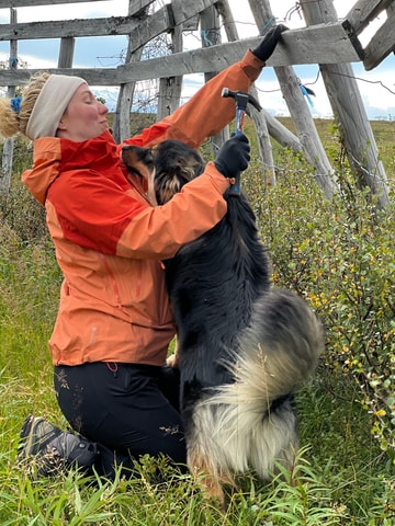 Alta: Autumn Sami reindeer experience (3 days)