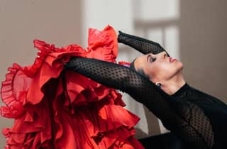 Sevilla: Genieße eine Klasse der Annäherung an den Flamenco