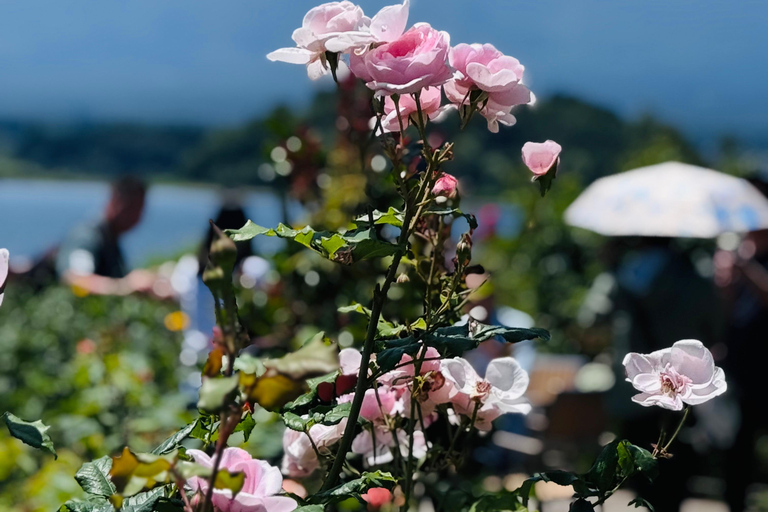 Mount Fuji Day Private Tour With English Speaking Driver