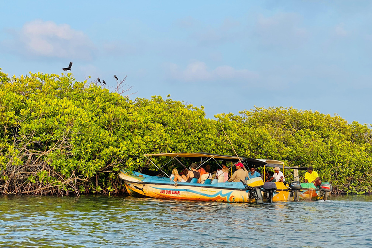 From Negombo: Boat Tour of Negombo Lagoon
