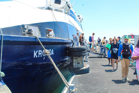 Ciudad del Cabo: Ticket de entrada al ferry de la Isla Robben más tour guiado