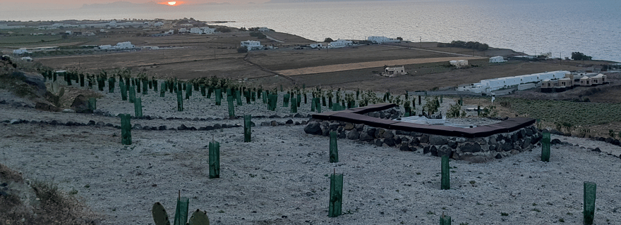 Santorin : visite agro-éducative privée dans une ferme biologique