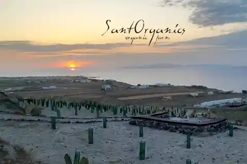 Santorin : Visite agro-éducative privée dans une ferme biologique
