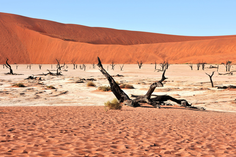 From Swakopmund/Windhoek: Skeleton Coast & Stargazing Tour