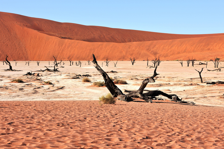 From Swakopmund/Windhoek: Skeleton Coast & Stargazing Tour