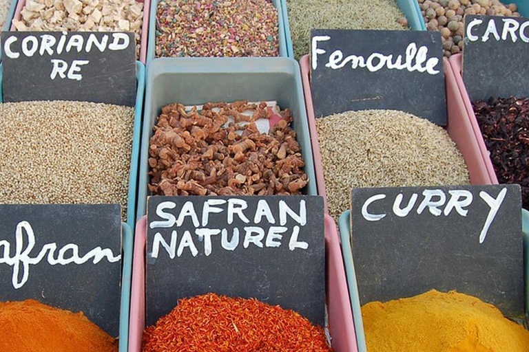 From Hammamet: Half-day Tunis Medina & Bardo cultural tour From Hammamet: Half-day Tunis Medina & Bardo cultural tour