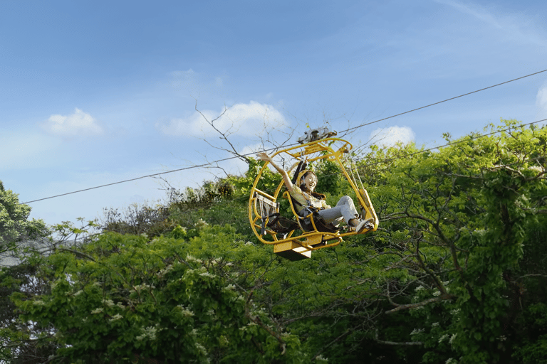 Jeju: Eco Land Theme Park Entry Ticket with Add-Ons Ecoland Theme Park Admission + Diffuser Making