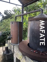 星期五，前往马fate的引导游览。 - Housity