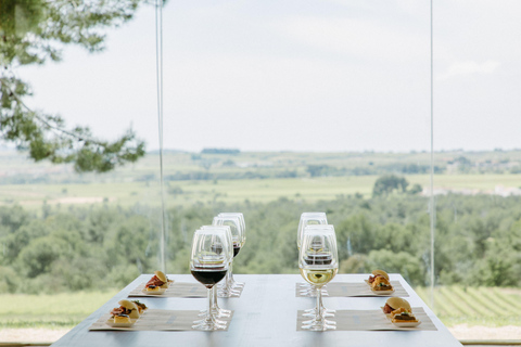 Barcelona - Penedes: Guided Tour at Jean Leon: 4 wines, 4 tapas Guided Tour with Tapas: Jean Leon Journey: 4 wines, 4 stories