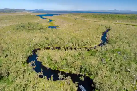 Sunshine Coast : Everglades de Noosa, arrière-pays et croisière en bateau