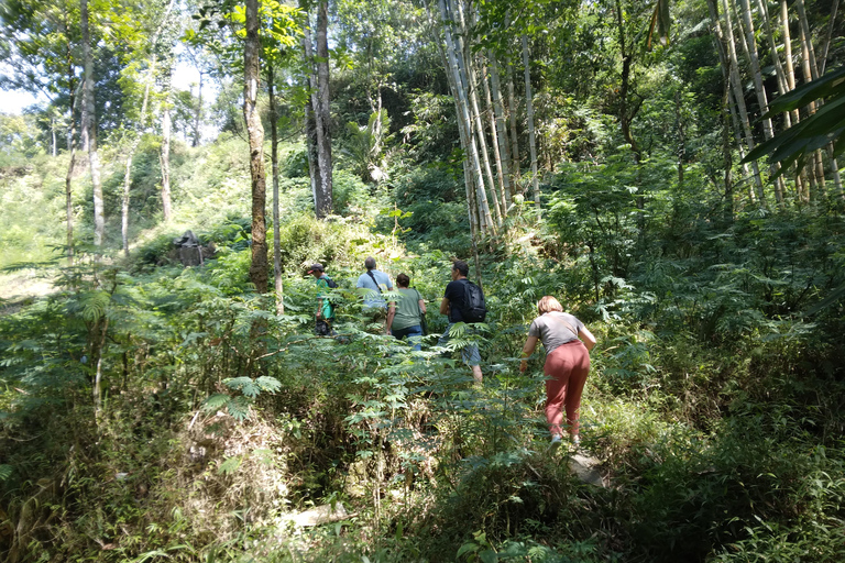 Yogyakarta Countryside Walking Tour and Prambanan Temple