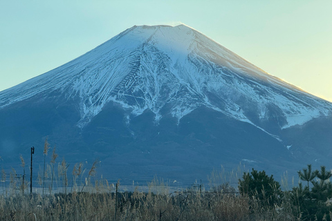 Tóquio: Monte Fuji e Hakone - Viagem de 1 dia com guia particularDe Tóquio: Viagem de 1 dia particular ao Monte Fuji e Hakone