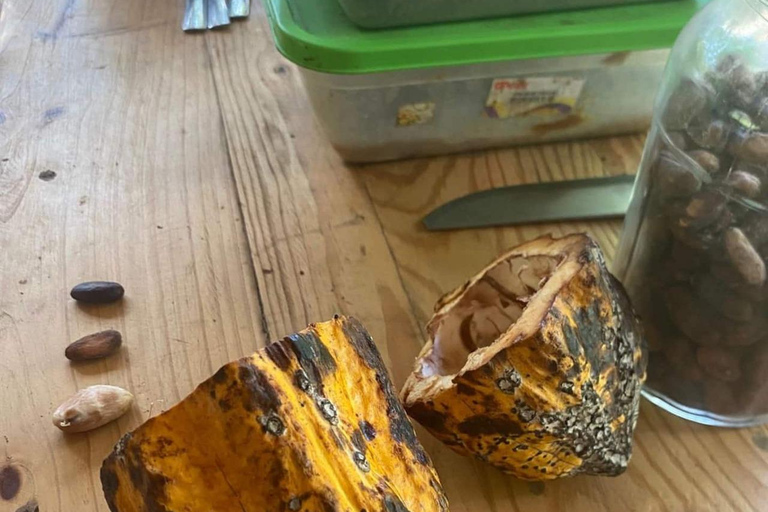 Visit an artisanal cocoa and coffee factory in Santa Marta