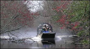 Airboat Tour durch die Sümpfe von Louisiana