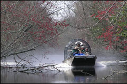 Airboat Tour durch die Sümpfe von LouisianaMit dem Airboat durch die Sümpfe von Louisiana