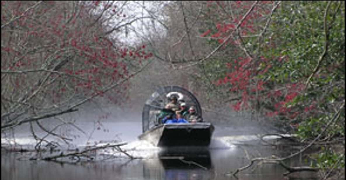 Airboat Tour of Louisiana Swamps GetYourGuide