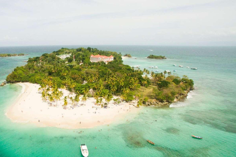 Samaná Whale Wonders: A Majestic Marine Adventure